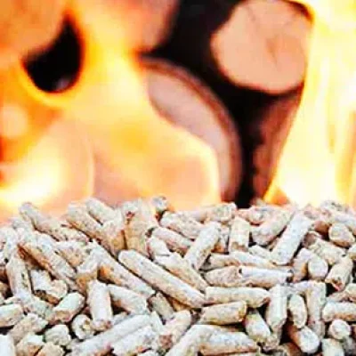 Hangi Yakıt? Odun mu, Pelet mi?