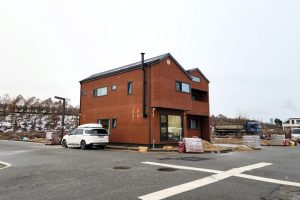 cinsapkasi4-1024x577 cinsapkasi4-1024x577