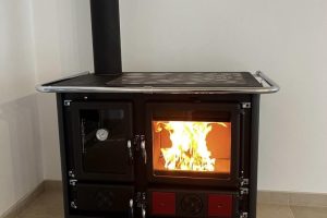 rosareversesinistrakirmizi2-818x1024